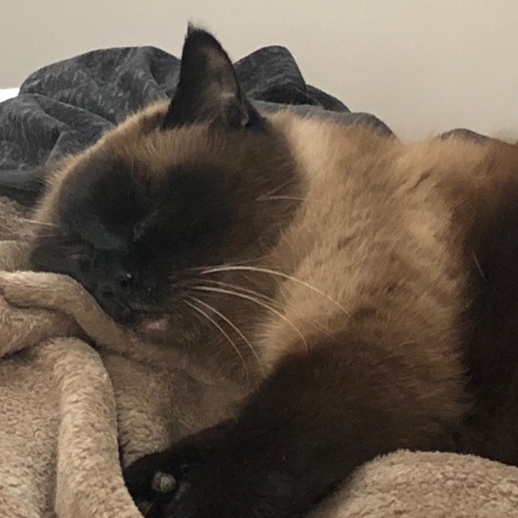 Meet your Posher, KB - Picture 11 of 11